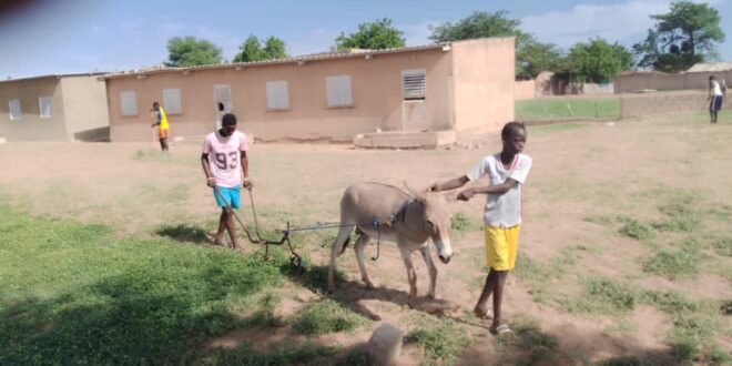 Mbayene Thiasde :Les jeunes du village unissent leur force  ,la cour de l'école désherbée, les cours de vacances programmés .