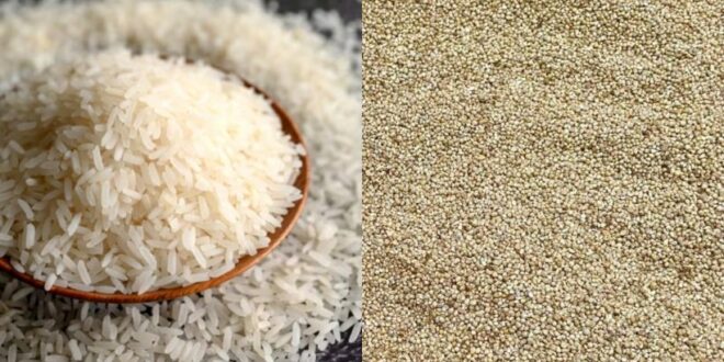 Autosuffisance en riz: La facture salée des importations incitera-t-elle les pays d’Afrique