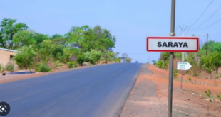 Ressources naturelles de Saraya: Mamadou Lamine Diallo préconise une réforme du code minier au bénéfice des populations