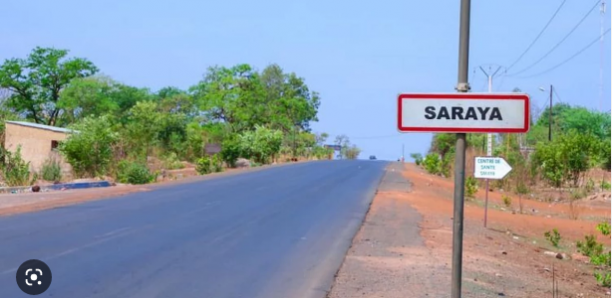 Ressources naturelles de Saraya: Mamadou Lamine Diallo préconise une réforme du code minier au bénéfice des populations