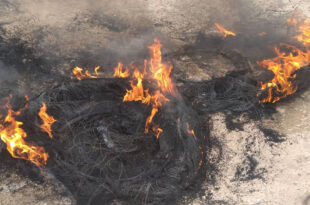 Litige foncier à Mbeye: Violents affrontements, la mairie de Bambilor saccagée