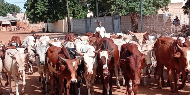 Linguere : Abdoulaye Sylla au chevet des chefs religieux