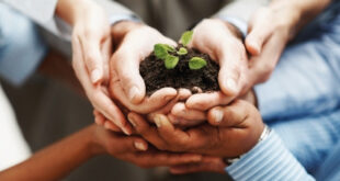 takaful hands holding seedling425