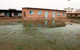 Urgent! EDUCATION: La rentrée bloquée à l'école Manguier Dakar par les eaux de pluies et les herbes.