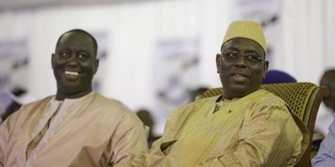 aliou sall 8