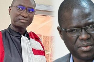 ismaila madior fall et professeur ahmadou aly mbaye 820x394 1