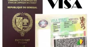 Obtention d'un visa au Sénégal : Plus de 4000 personnes signent la pétition pour la réforme des procédures de visa