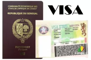 Obtention d'un visa au Sénégal : Plus de 4000 personnes signent la pétition pour la réforme des procédures de visa