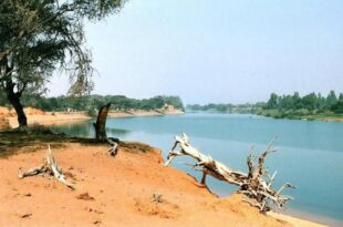 fleuve senegal 000 1 1