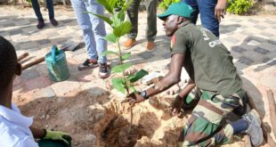 Reboisement: Le Rotary Club plante 100 arbres à Guédiawaye