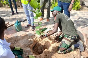 Reboisement: Le Rotary Club plante 100 arbres à Guédiawaye