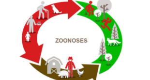 ZOONOSES