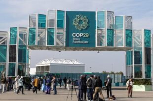 COP29