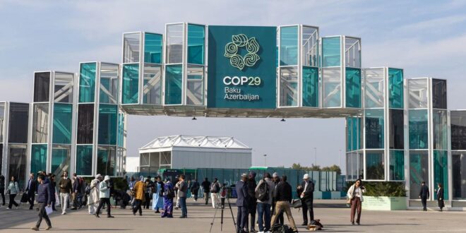 COP29