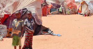 Somalie : La faim menace 4,4 millions de personnes en raison de la sécheresse