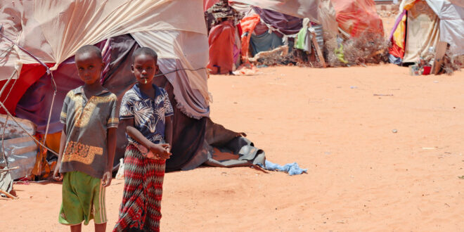 Somalie : La faim menace 4,4 millions de personnes en raison de la sécheresse